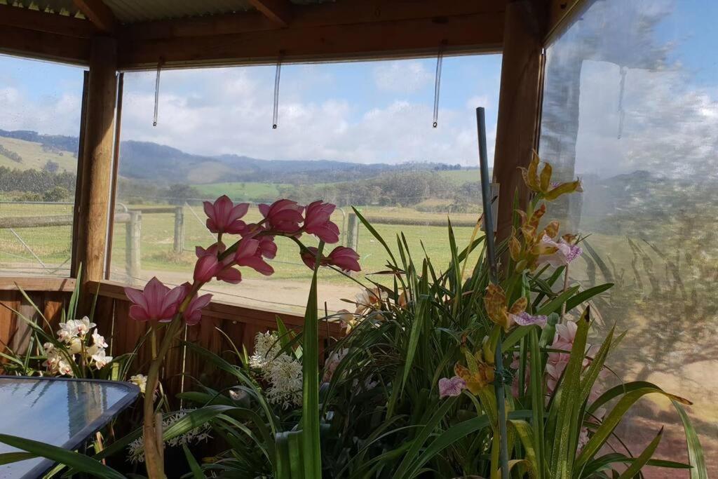 Handsome Hills Dairy Retreat Won Wron Bagian luar foto