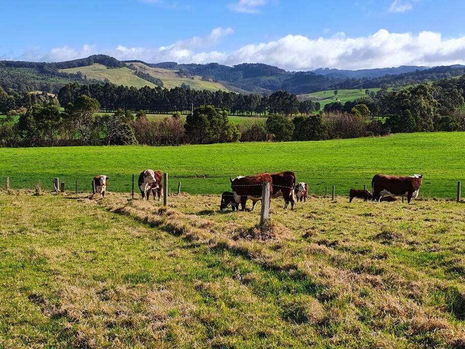 Handsome Hills Dairy Retreat Won Wron Bagian luar foto