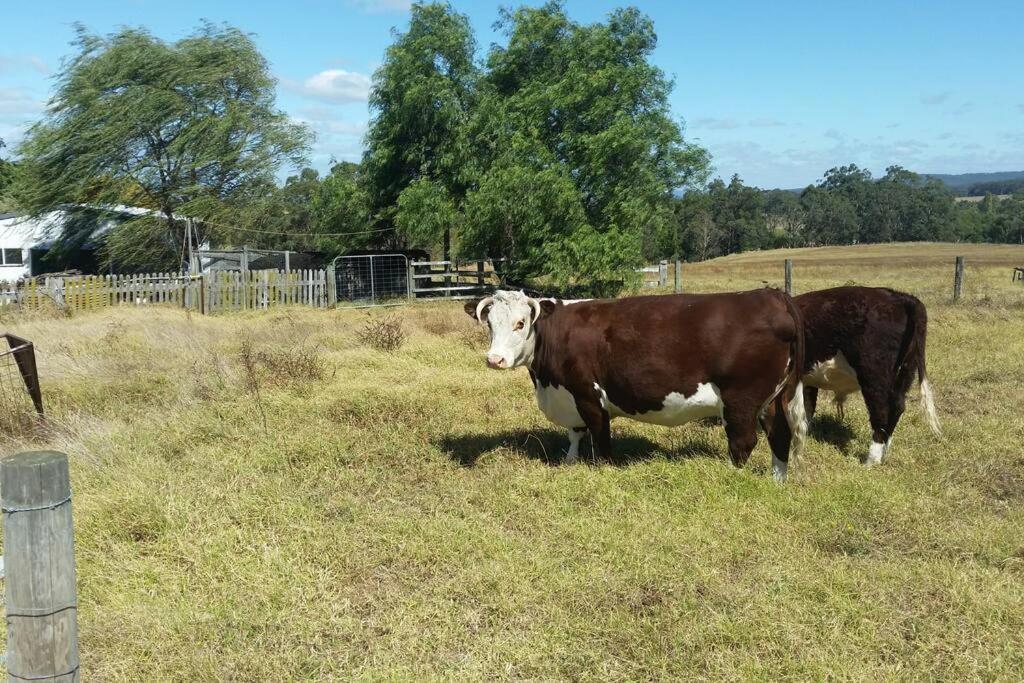 Handsome Hills Dairy Retreat Won Wron Bagian luar foto